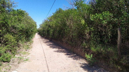 4 Hectareas Villa Elena Cortaderas San Luis Venta