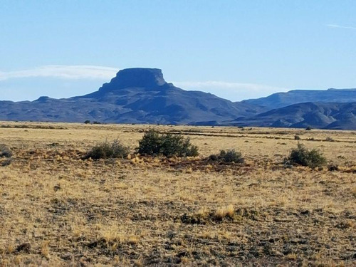 Campo - Precordillera De Santa Cruz