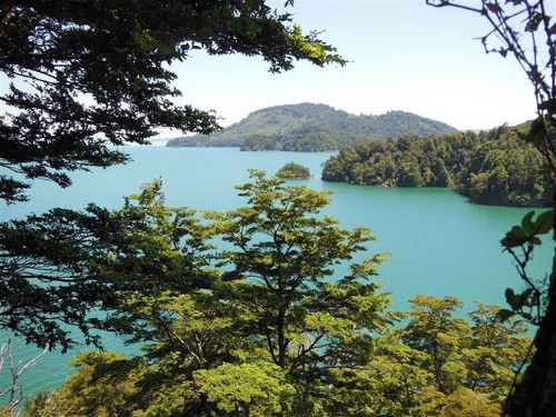 Imagen 5 de 30 de Sitio En Venta En Puyehue
