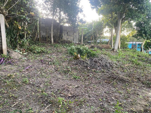 Venta Terreno 2035 M² Colonia Cruz Naranjos Tuxpan Veracruz