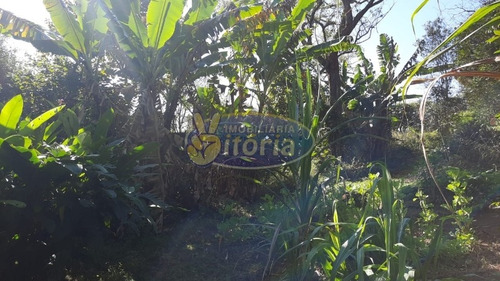 Imagem 4 de 16 de Casa Térrea Para Venda No Bairro Batistini - 10915