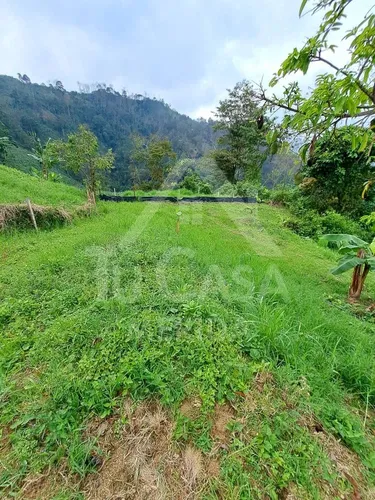 Finca Santa Cruz De Mora