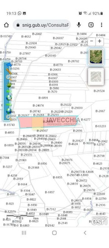 Imagen 4 de 20 de Venta De Campo De 80 Hectáreas Sobre Ruta 39