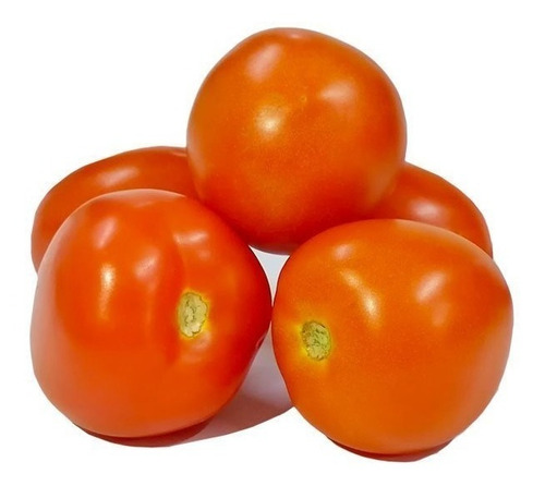 Fertilizante Para La Producción De Tomate Chonto