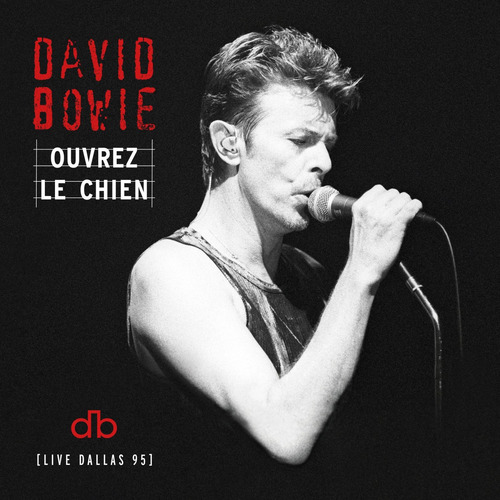 David Bowie 1101 Músicas Discografia Completa De 1967 A 2025 Edição Limitada