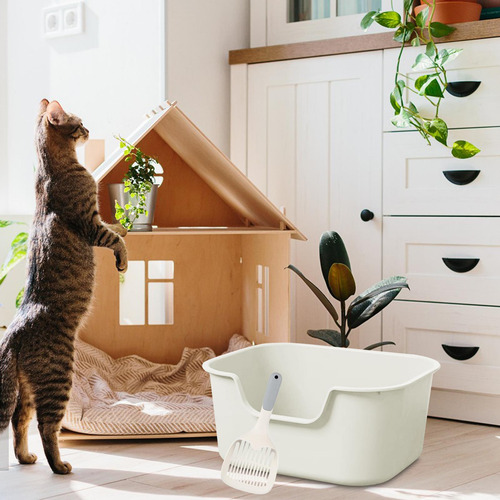 Con Caja De Arena Para Gatos De Lado Alto Para Todo Tipo De