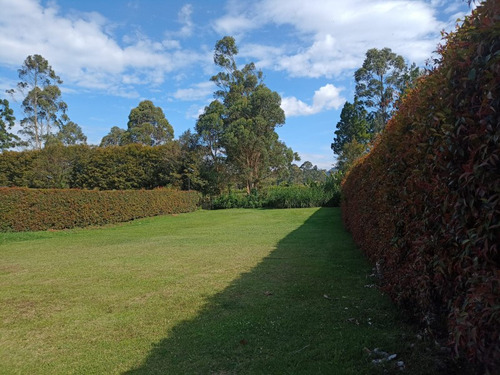 Lote Para Venta En Rionegro Sector Vereda Cabeceras (20771).