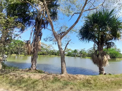 Lotes En Venta Vereda Pompeya 462-1083