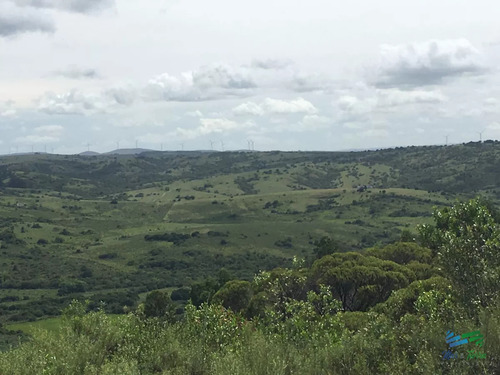 Chacras Con Vistas Increibles, Monte Nativo, Naturaleza Y Tranquilidad