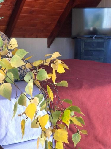 Imagen 15 de 30 de Venta Lindisima Cabaña En Ph Duplex Planta Alta Bariloche Navacerrada