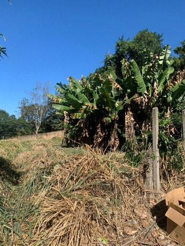 Imagem 8 de 9 de Terreno A Venda No Bairro Trindade - Florianópolis, Sc - Fl64404
