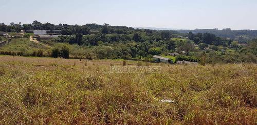 Imagem 4 de 15 de Terreno À Venda, 20000 M² Por R$ 1.600.000,00 - Água Espraiada (caucaia Do Alto) - Cotia/sp - Te9001