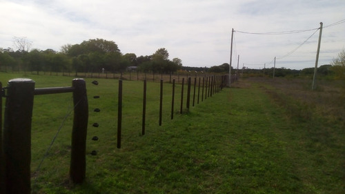 Imagen 3 de 11 de Vendo Importantes Lotes Juntos O Separados En Barrancas Del Vega I Esquina (ctes.)