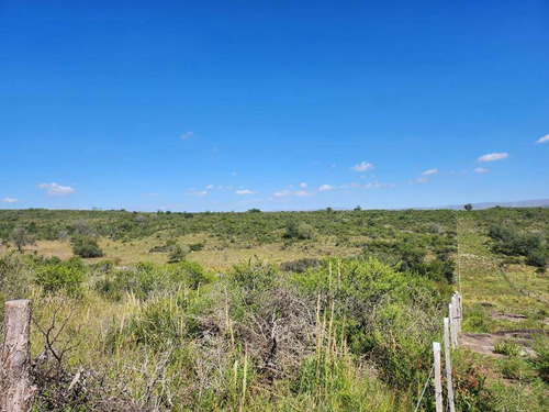 Venta Campo 9 1/4 Hectáreas- Villla Parque Siquiman (punilla).