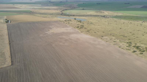 Imagen 9 de 12 de Campo De 144 Has Mixto (85 Has Agrícolas Y 59 Ganaderas) - Quebrachito