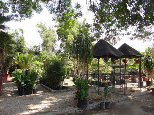 Terreno Comercial En Yautepec , Yautepec, Morelos - Ari-507-tu