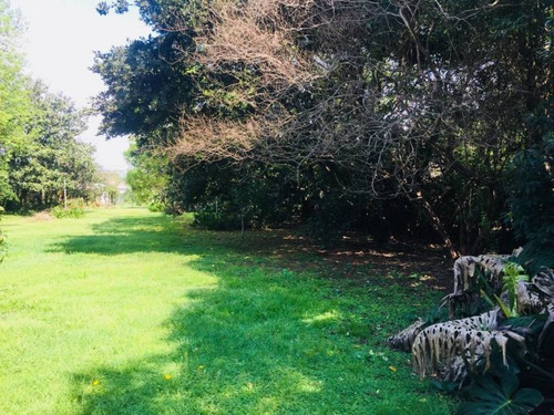 Imagen 2 de 3 de Terrenos O Lotes Venta Garín