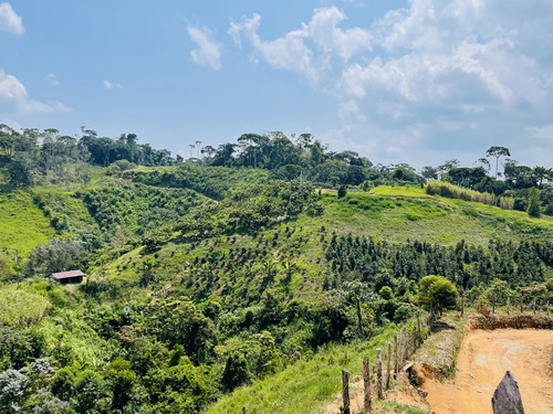 Finca De 22.5 Hectáreas Para La Venta En San Roque, Antioquia 