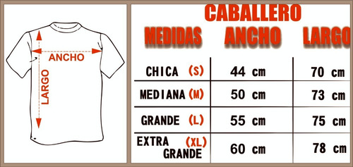 Caballeros De El Zodiaco Playera Hyoga Rott Wear