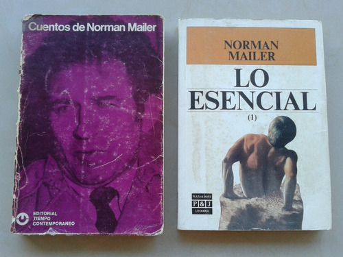 Lote Norman Mailer Lo Esencial Cuentos - Caba/v.lopez/lanus