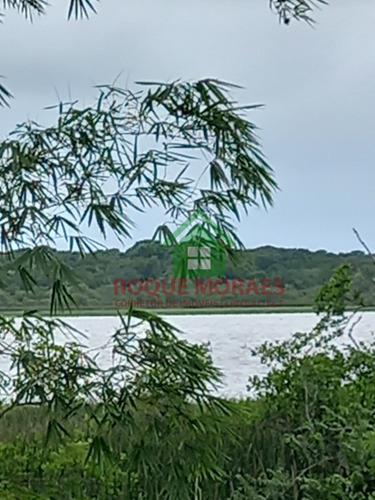 Imagem 9 de 30 de Terreno À Venda Em Iguape Sp Medindo 4 Alqueires Paulista Ref0940
