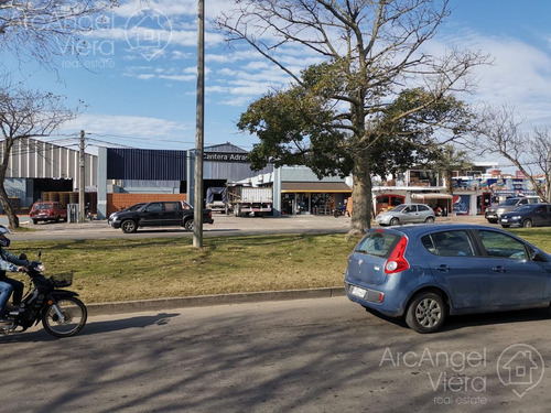 Local En Alquiler Anual - Venta En Maldonado