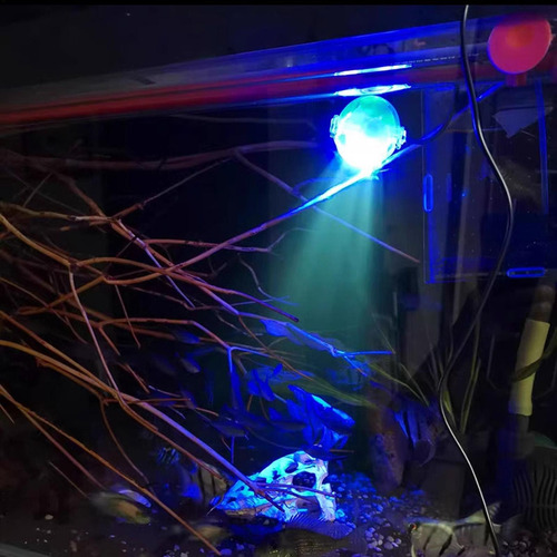 Luz Led Para Acuario Luz Para Pecera Subacuática Luces De Pi