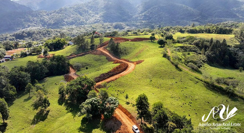 Samán Proyecto De Casas