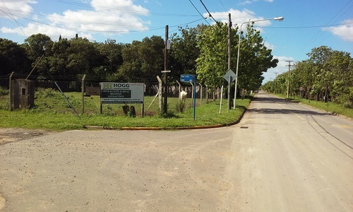 Imagen 1 de 6 de Terreno En Venta En Villa Lía