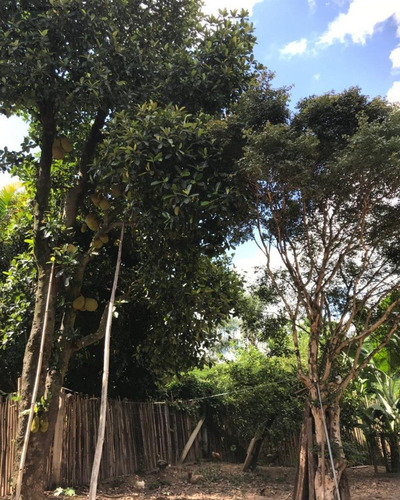 Imagem 3 de 18 de Chácara À Venda Na Vila Minerão - Sorocaba/sp - Ch00803 - 70632841