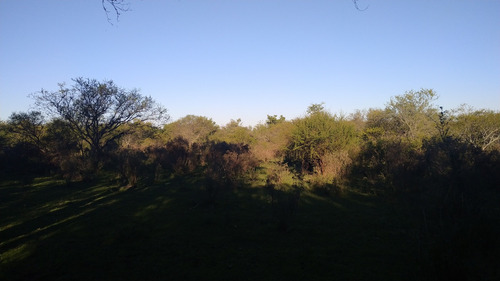 Imagen 4 de 9 de Venta Campo - Zona Talita - Concepcion Del Uruguay