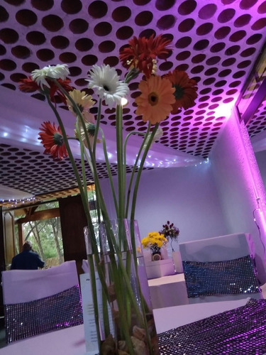 Imagen 4 de 8 de Chacra, Salón De Fiesta, Económico, 15 Años, Bodas, Infantil