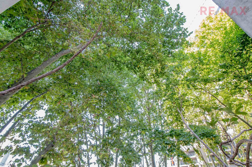Imagen 30 de 30 de Venta 158m Pto Madero -1000usd/m Apto Profesional