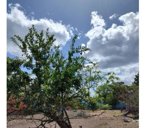 Lote En Venta En La Plata.
