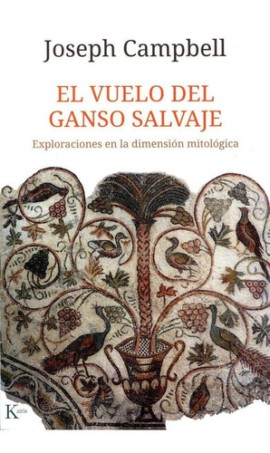 El Vuelo Del Ganso Salvaje - Exploraciones En La Dimension