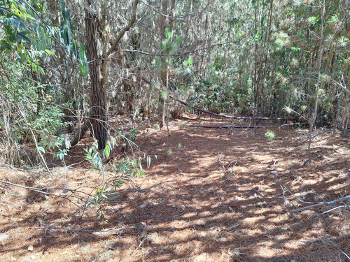 Se Vende Terreno De 5000 M2 En Condominio, Cáhuil, Pichilemu