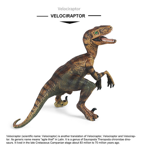 Coma Sólida Pintada A Mano Con Diseño De Dinosaurio, Modelo