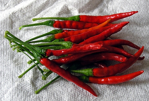 Ají Chili De Árbol Picante 20 Semillas 