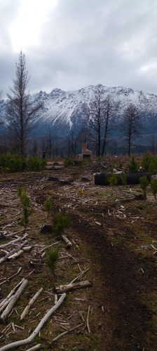 Chacra En Las Golondrinas - Chubut