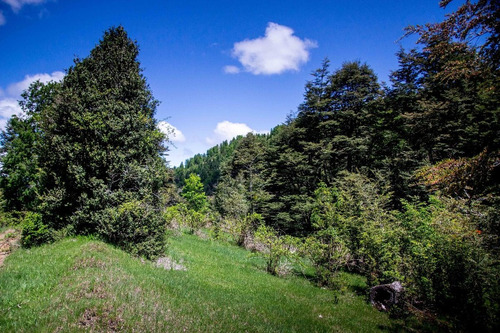 1 Hectárea Con Río Y Bosque | Tinquilco - Huerquehue - Pucón