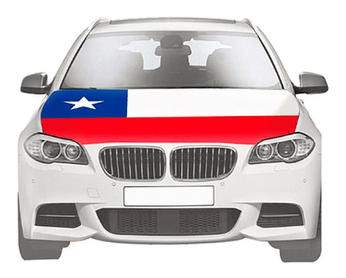 Cubre Funda Autos Dieciochero Chile
