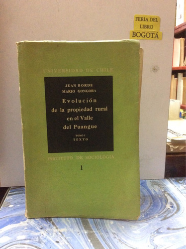 Evolución De La Propiedad Rural En Valle Del Puangue. Borde