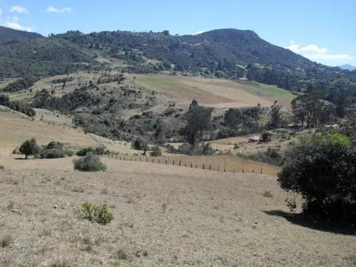 Lote En Venta En La Calera. Cod V1614270