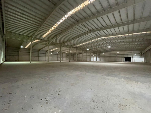 Imagen 26 de 30 de Fracción Industrial 26 Ha. Galpón 12.800 M² Cub. - Carlos Spegazzini