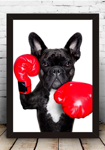 Poster Quadro Bulldog Com Moldura Com Vidro 33x43 Cm #2