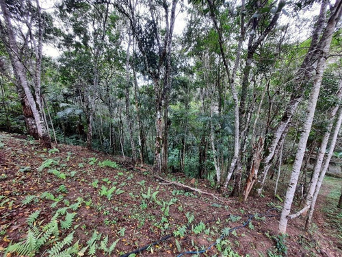 Imagem 29 de 30 de Chácara À Venda Em Juquitiba - 414 - 34854187