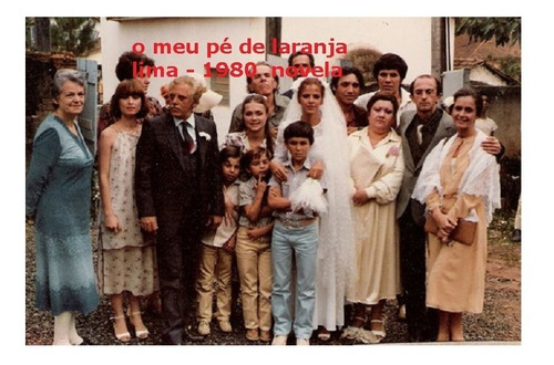 O Meu Pé De Laranja Lima Novela Completa- Dvds (Usado)