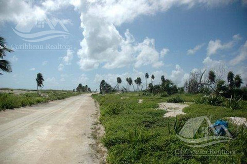 Imagen 6 de 6 de Terreno En Venta En Mahahual