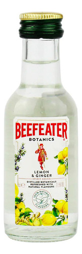 Pack De 6 Ginebra Beefeater Lemon & Ginger 50 Ml