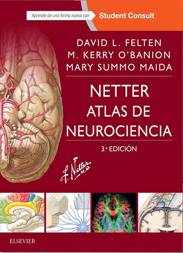 Netter. Atlas De Neurociencia + Studentconsult (3ª Ed.)